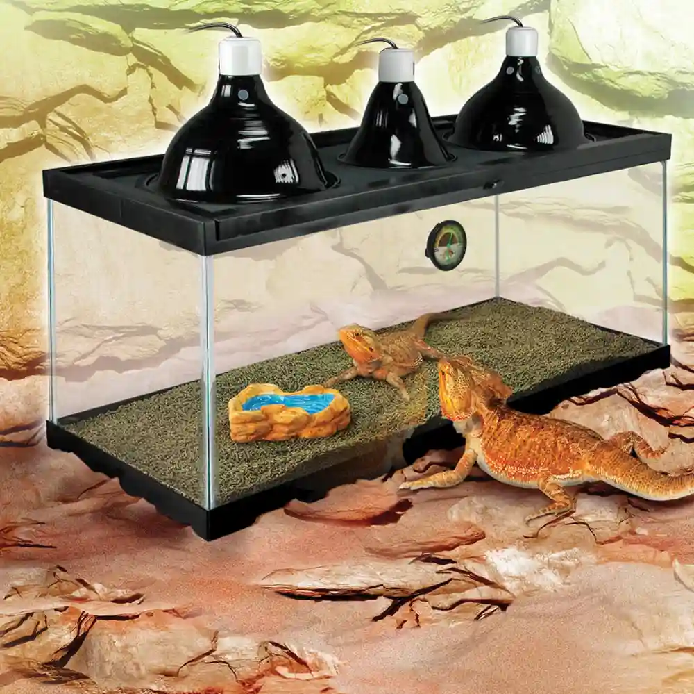 Zilla deluxe bearded dragon kit hotsell