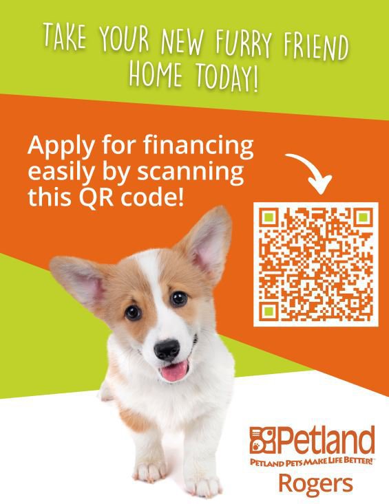 Apply for financing at Petland Rogers.